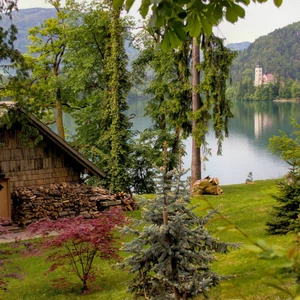 15 photos that will make you visit Lake Bled in Slovenia