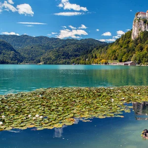 15 photos qui vous feront visiter le lac de Bled en Slovénie