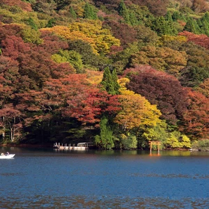 In pictures: 6 places to witness the wonderful fall colors in Japan