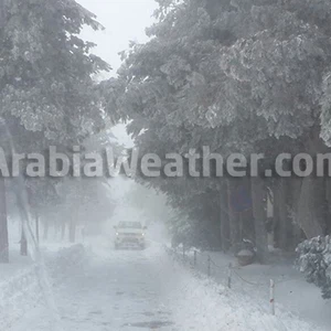 ٥٠ صورة لمترين من الثلوج في الطفيلة