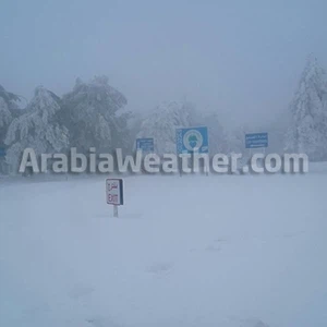 ٥٠ صورة لمترين من الثلوج في الطفيلة