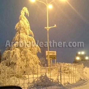 ٥٠ صورة لمترين من الثلوج في الطفيلة