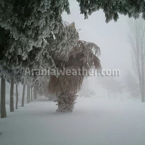 ٥٠ صورة لمترين من الثلوج في الطفيلة