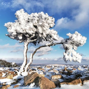 Photo and video Freezing and frosting of Mount Mubarak in the Petra District at an altitude of 1727