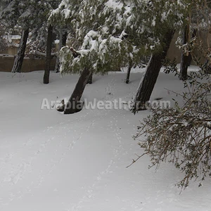 ١٠٠ صورة للعاصفة جنى في عمان بعدسة طقس العرب