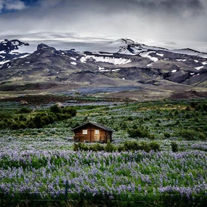 منزل على جبل المرج في آيسلندا
