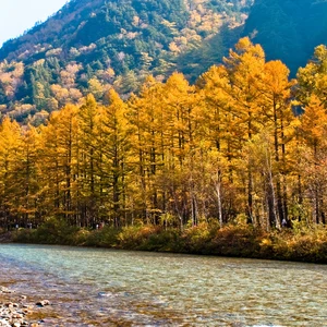 In pictures: 6 places to witness the wonderful fall colors in Japan