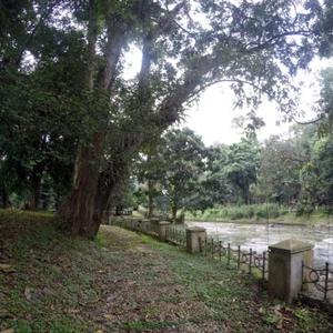 Bogor Botanical Gardens.. A peaceful getaway from busy Jakarta