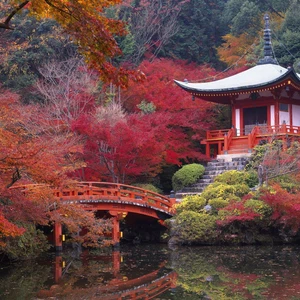 In pictures: 6 places to witness the wonderful fall colors in Japan