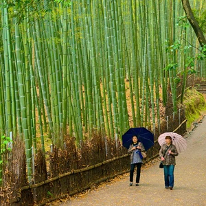 En images : 6 endroits pour admirer les merveilleuses couleurs d&#39;automne au Japon