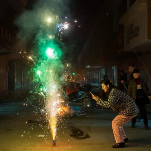 Photos des célébrations mondiales du Nouvel An chinois.. l&#39;année du coq