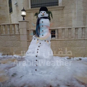 بالصور || هكذا عبر بعض الاشخاص عن فرحتهم بالثلوج بصنع رجل الثلج (Snowman) 