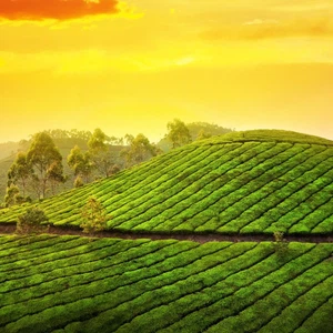 The most visited tourist places in the Indian state of Kerala