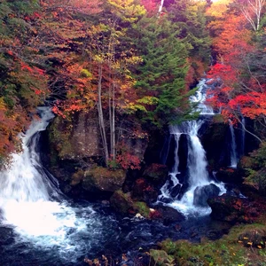 In pictures: 6 places to witness the wonderful fall colors in Japan