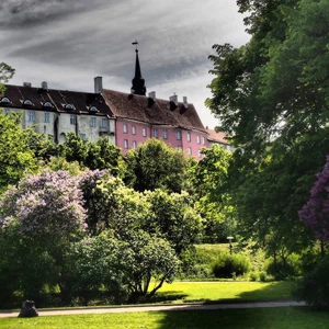 Des images qui donnent envie de voyager à Tallinn, la capitale de l&#39;Estonie