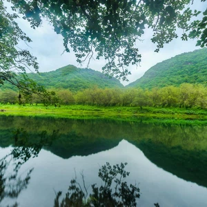 15 pictures of the city of Salalah .. reflecting the most beautiful scenes of nature