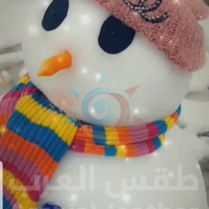 Pictures || This is how some people expressed their joy in snow making Snowman