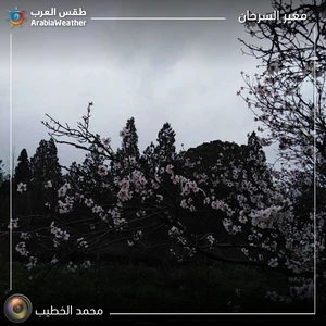 طقس العرب