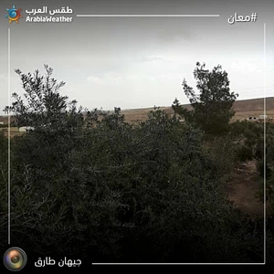 شاهد الصور | منخفض جوي من الدرجة الثالثة يؤثر على الأردن اليوم السبت 16-3-2019