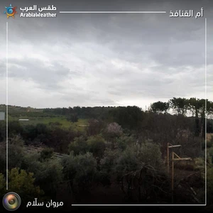 طقس العرب