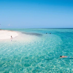 En images : Heron Island, Australie