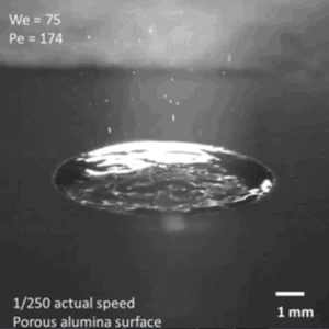 علماء يرصدون كيفية تكون رائحة المطر لأول مرة في التاريخ