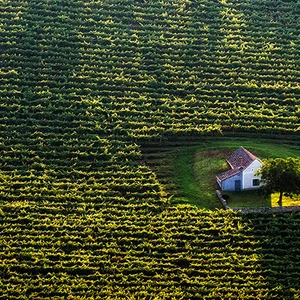 المنزل الصغير بين الحقول في المجر