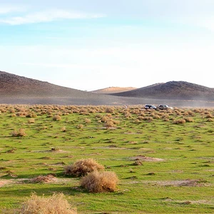 بالصور: بعد موجة الامطار .. شاهد روعة الربيع في جنوب حائل 