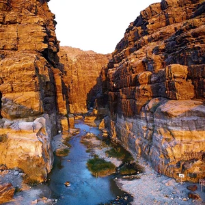 بالصور: شاهد مدى جمال الطبيعة والحياة في الأردن