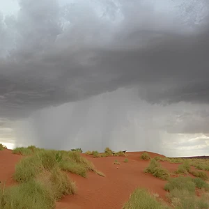 Qu'est-ce qu'une forte pluie ?