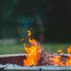 Quelle est la cause des incendies de forêt en été ?