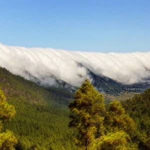 What is the term for the rapid descent of cold, dense air down a mountain slope, often resulting in warmer, drier conditions on the windward side?