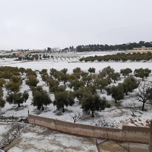 In pictures: Snow visits various parts of the kingdom today, Tuesday, and accumulations in the south of the kingdom