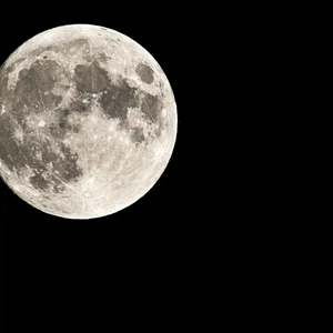 Pourquoi le mois de juillet est-il appelé la Lune du Cerf ?