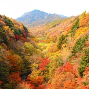 In pictures: 6 places to witness the wonderful fall colors in Japan