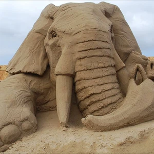 فيل من الرمال