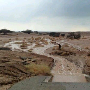 سيول غرب تبوك - أخبار الأمطار و الربيع