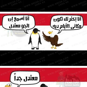 رسم مُضحك نتيجة لبرودة الأجواء على مصر