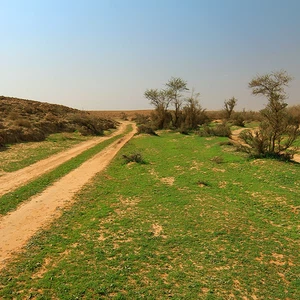 The best `Kashtat` places in Riyadh to escape from the hustle and bustle of the city to the silence of the desert