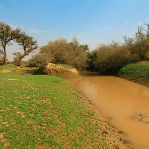 The best `Kashtat` places in Riyadh to escape from the hustle and bustle of the city to the silence of the desert