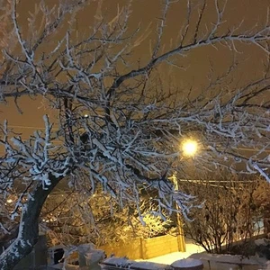 بالصور: الكرك والطفيلة ترتديان الثوب الأبيض 