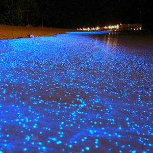 شاطئ جزر المالديف يشبه السماء الممتلئة بالنجوم ليلا