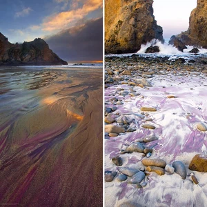 شاطئ الرمال البنفسجية في كاليفورنيا