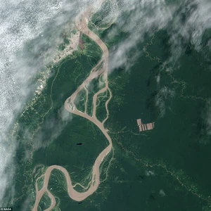 عمليات مؤسفة لإزالة الغابات في الأمازون