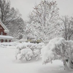 بالصور.. موجة برد شديدة وثلوج على الولايات المتحدة الامريكية
