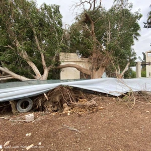 غور الأردن | أضرار كبيرة في البيوت البلاستيكية بفعل الرياح الشديدة