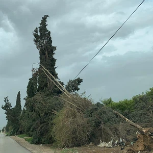 Jordan Valley Significant damage to greenhouses due to strong winds