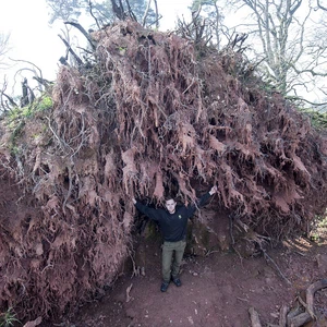 تسببت الرياح الشديدة التي ضربت بريطانيا  بإقتلاع أكبر الأشجار المعمرة في بريطانيا