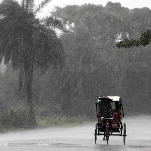 سائق عربة هندية يُحاول الهرب تحت وقع الأمطار