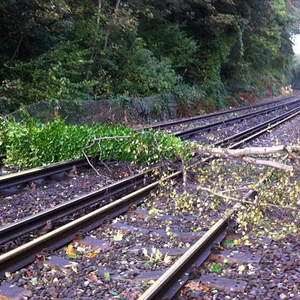 أغلقت أغلب طرقات السكك الحديدية نتيجة لسقوط الأشجار العملاقة عليها